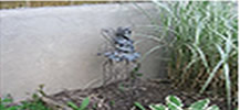 stone and masonry